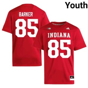 Andrew Barker Indiana Hoosiers Youth Crimson #85 Official College Football Jersey 372770-681
