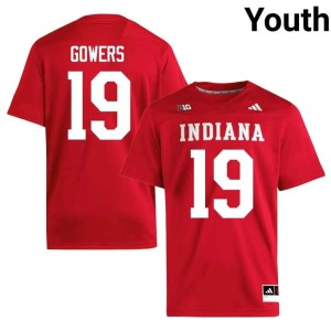Billy Gowers #19 IU Youth Crimson College Football University Jersey 741054-645