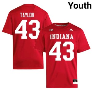 Bryce Taylor The Hoosier State Youth Crimson Embroidery College Football #43 Jerseys 239743-409