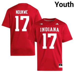 Daniel Ndukwe College Football Crimson University of Indiana #17 University Youth Jerseys 508916-838
