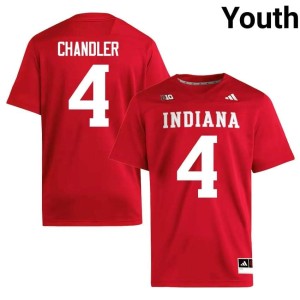 Davion Chandler College Football IU Hoosiers Stitched Crimson Youth #4 Jerseys 647594-862