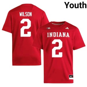Grant Wilson Replica College Football Crimson The Hoosier State Youth #2 Jersey 441209-555