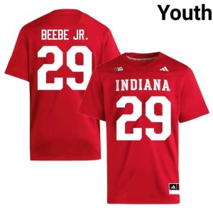 Lee Beebe Jr. Youth Crimson College Football NCAA #29 Indiana Jerseys 110747-321