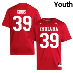 Trevor Gibbs Indiana Hoosiers NCAA Youth #39 Crimson College Football Jersey 596820-318